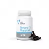 VetExpert NeuroSupport 45 kapsúl.