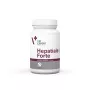 VetExpert Hepatiale Forte Large Breed 40 tabliet.