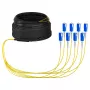 EFB Trunk kábel U-DQ(ZN)BH OS2 8E (1x8) SC-SC 20m Dca LSZH G657A1