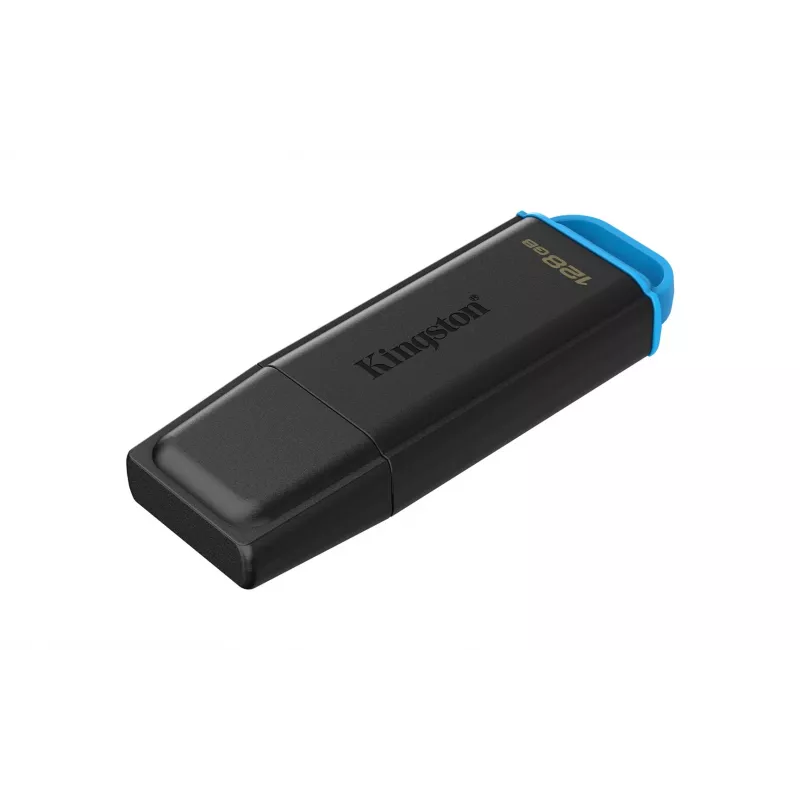 Kingston Technology DataTraveler 128GB prenosný USB 3.2 Gen 1 Exodia čierna/modrá