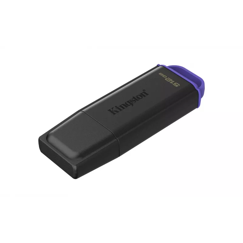Kingston Technology DataTraveler 512GB prenosný USB 3.2 Gen 1 Exodia čierna/fialová