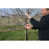 Nožnice na konáre Felco FELCO-8_FEL