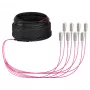 EFB Trunk kábel U-DQ(ZN)BH OM4 8G (1x8) SC-SC 20m Dca LSZH