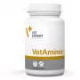 VetExpert VetAminex 60 kapsúl.