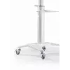 TV stojan podlahový 37-70/WEISS TVS-70T-02-W Gembird