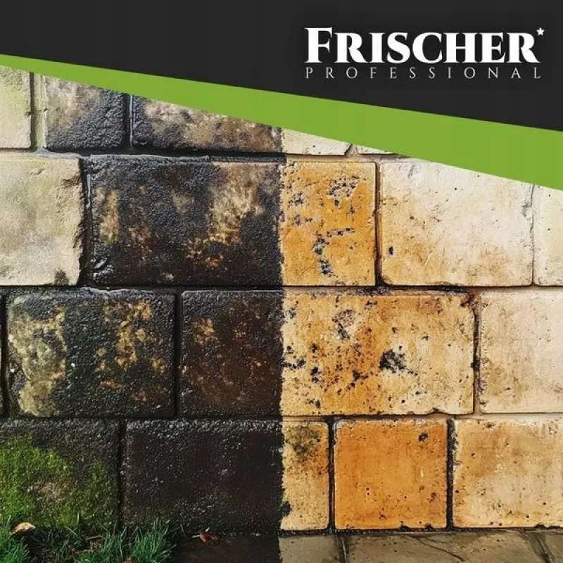 Čistič fasád Frischer 1 l