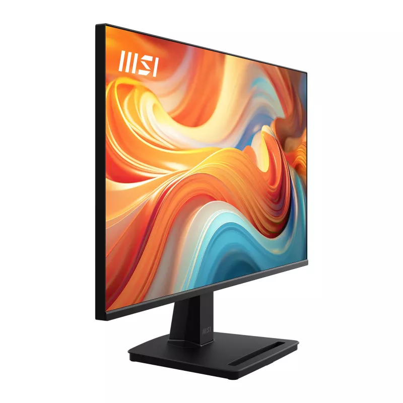 MSI Pro MP251 E14L počítačový monitor 62,2 cm (24,5