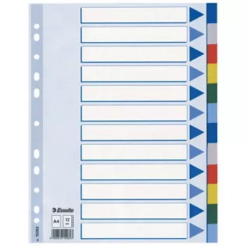 Esselte Prázdny delič registra, polypropylén (PP), A4, viacfarebný, 225 mm