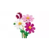 LEGO Botanicals 11514 Kvety kosmea (171 dielov)