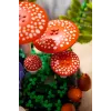 LEGO Botanicals 11505 Lesné huby (806 dielov)
