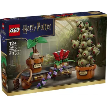 LEGO Harry Potter 76474 Bylinkárske rastliny v Rokforte (817 dielov)