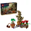 LEGO Harry Potter 76474 Bylinkárske rastliny v Rokforte (817 dielov)