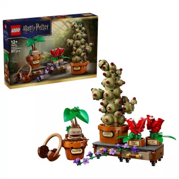LEGO Harry Potter 76474 Bylinkárske rastliny v Rokforte (817 dielov)