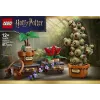 LEGO Harry Potter 76474 Bylinkárske rastliny v Rokforte (817 dielov)