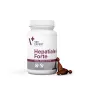 VetExpert Hepatiale Forte Small Breed & Cats 40 kapsúl
