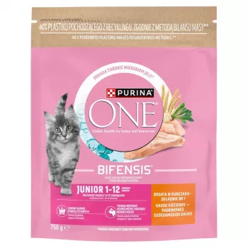 Purina ONE Junior Chicken & Whole Grains suché krmivo pre psov 750g