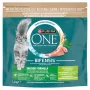 Purina ONE Indoor Formula mačka moriak 1,4 kg