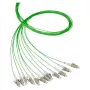 EFB-Elektronik Fiber Pigtail LC OM2 50/125µm zelený 2m