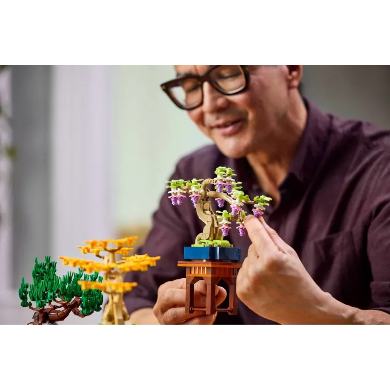 LEGO 10373 Botanical Collection malé bonsaje