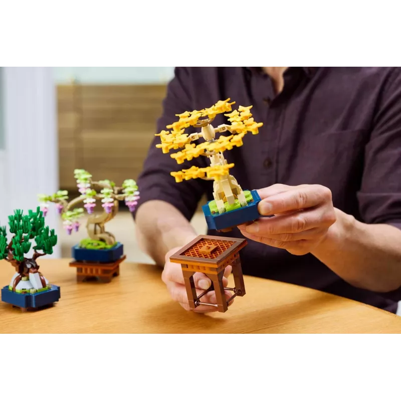 LEGO 10373 Botanical Collection malé bonsaje