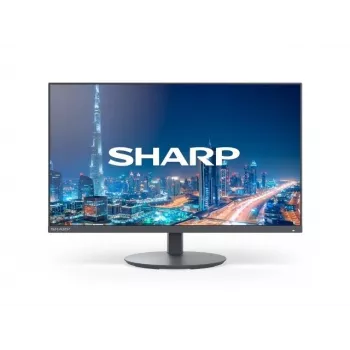 Sharp MultiSync DD-E224F 21,5