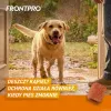 FRONTPRO tablety proti blchám a kliešťom pre psov (25-50 kg) - 3x 136 mg Afoxolaner žuvacie tablety