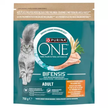 Purina One Mini Active krmivo pre psov kuracie & ryža 750g