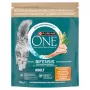 Purina One Mini Active krmivo pre psov kuracie & ryža 750g