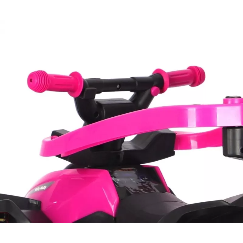 MILLY MALLY detský bicykel s tlačnou tyčou Wild Pink 12