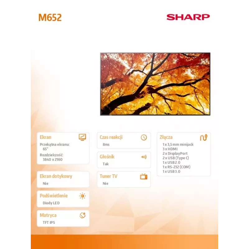 Sharp MultiSync M652 65