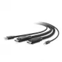 Belkin Secure KVM Combo kábel - klávesnica/video/myš/audio kábel - TAA-konformný - USB, Mini konektor samec, DisplayPort (konektor samec) - 3 m