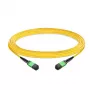 EFB-ELEKTRONIK MTP/APC samica na MTP/APC samica OS2 single-mode patch kábel, 12 vlákien, Type B, LSZH, žltý, 30m