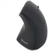 Equip 245110 vertikálna ergonomická bezdrôtová myš - pre pravákov - 2,4 GHz - USB prijímač - čierna