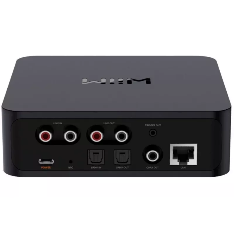 WiiM Pro Sieťový prehrávač - AirPlay 2, Chromecast, Multiroom streamer