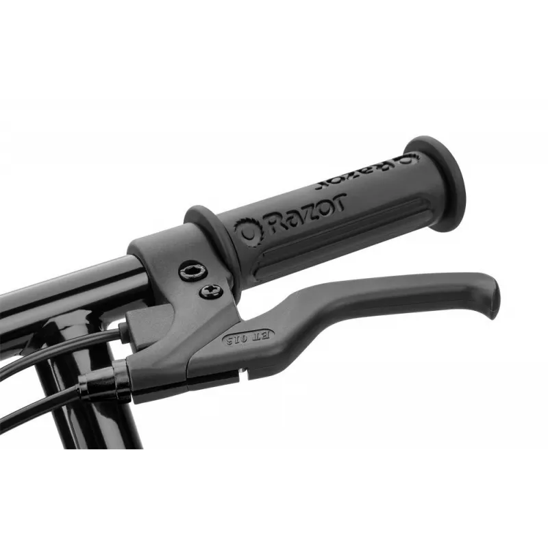 Razor Power Core E90 elektrická kolobežka - 16 km/h - čierna/zelená