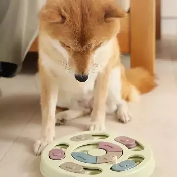 iLike puzzle kŕmidlo pre psov diam. 24 cm interaktívna hračka na pomalé jedenie tréningová hra viacfarebná