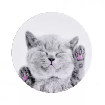 iLike Univerzálny držiak Pop Cat