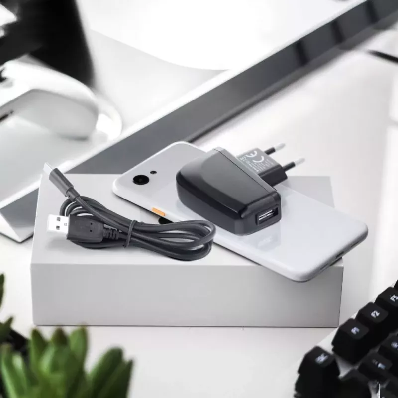 Blue Star nabíjačka na telefón Blue Star Lite USB A 2A 10W + kábel USB A na USB C TFK-TC-1095B čierna