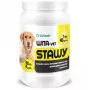 EWE EUROWET Wita-Vet Joints - doplnok stravy pre psov - 30 tabliet