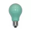 Scharnberger 40246 žiarovka 25W zelená B60x105mm E27 240V