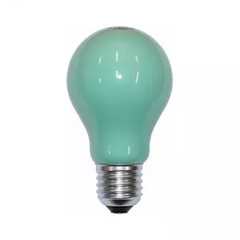 Scharnberger 40246 žiarovka 25W zelená B60x105mm E27 240V
