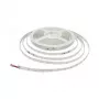 SYNERGY21 Synergy 21 flexibilný LED pásik 3528 - 160 SWW DC24V 48W LP IP20
