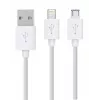 Rio DCWU-EU/1,6 USB sada na bielenie zubov