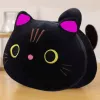 LEAN TOYS plyšová maskot plyšák čierna mačka 18 cm