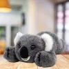 LEAN TOYS Plyšová koala medveď ležiaci sivý 30 cm