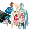 Clementoni Science & Play Super Anatomy vzdelávacia vedecká súprava 50919
