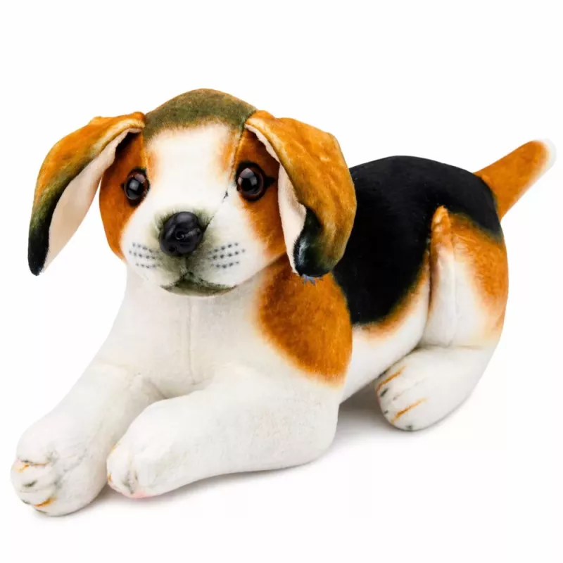 LEAN TOYS Plyšový beagle pes, plyšová hračka, mäkký pes, 25 cm