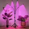 LEAN LED lampa na rast a osvetlenie rastlín, 4-panelový stojan, diaľkový ovládač
