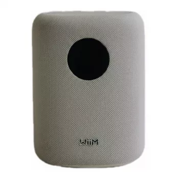 WiiM LPWISNDW Sound Smart Speaker, biela