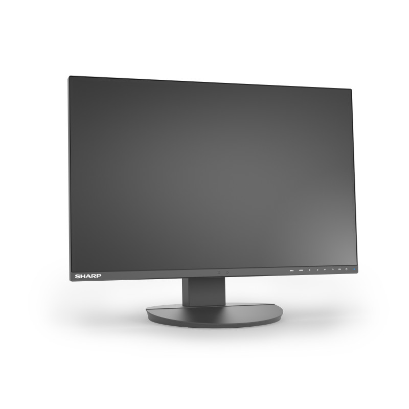 NEC Sharp MultiSync EA241W 24
